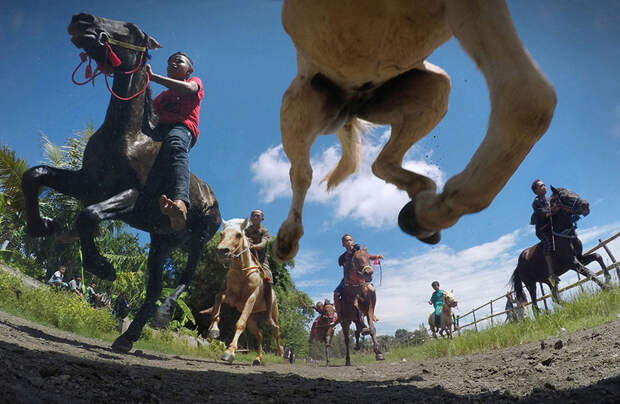 Традиционные конные состязания, Индонезия