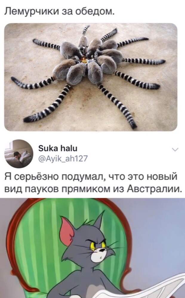 Подборка картинок. Вечерний выпуск (30 фото)