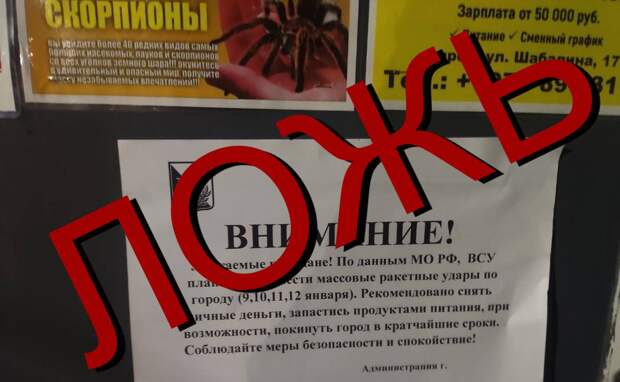 Губернатор Севастополя Михаил Развожаев опроверг распространяемую украинскими источниками информацию о готовящейся эвакуации жителей города-героя....