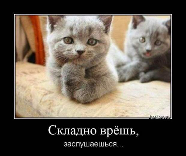 Демотиваторы-новинки (19 шт)