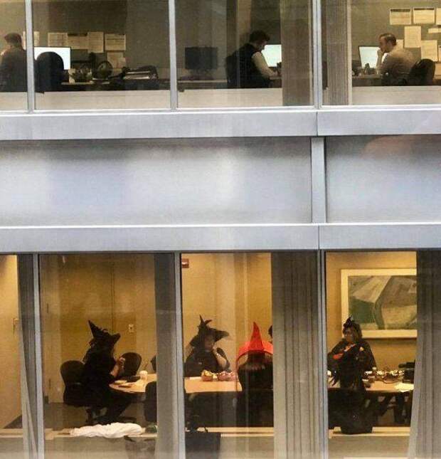 Подборка прикольных картинок