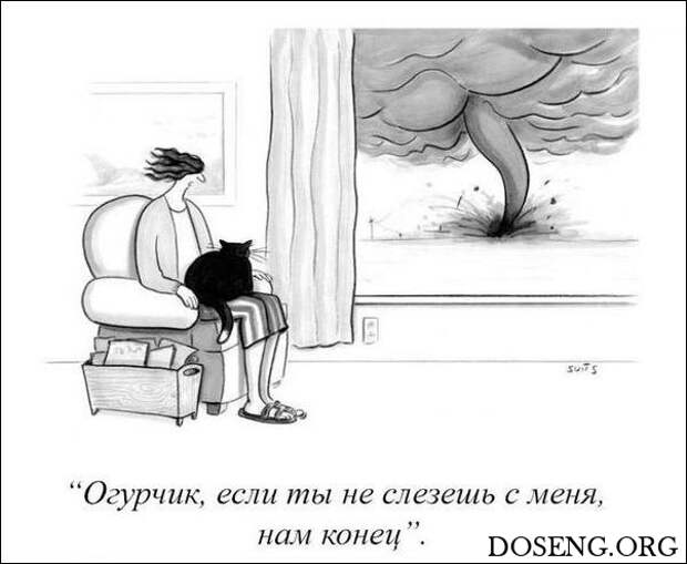Комиксы и карикатуры