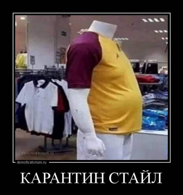 Пятничные демотиваторы: праздники, социум и живность