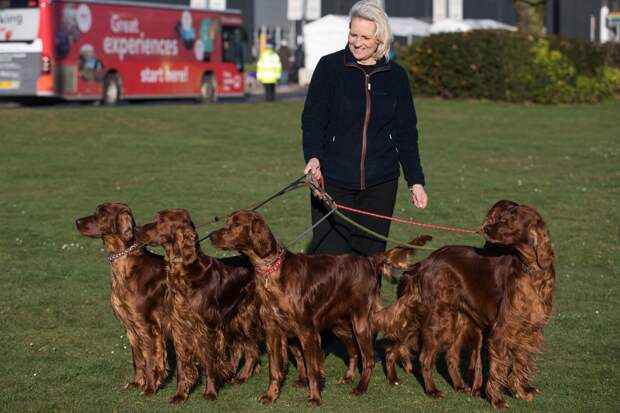Выставка собак Crufts Dog Show 2019 проходит в Великобритании