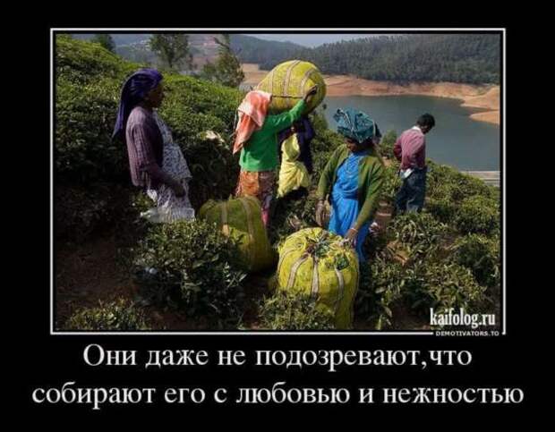 Прикольные демотиваторы с надписями. Подборка chert-poberi-dem-chert-poberi-dem-45300504012021-8 картинка chert-poberi-dem-45300504012021-8