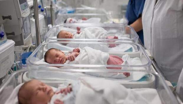 Россиянок, не планирующих иметь ребенка, могут направить к психологу