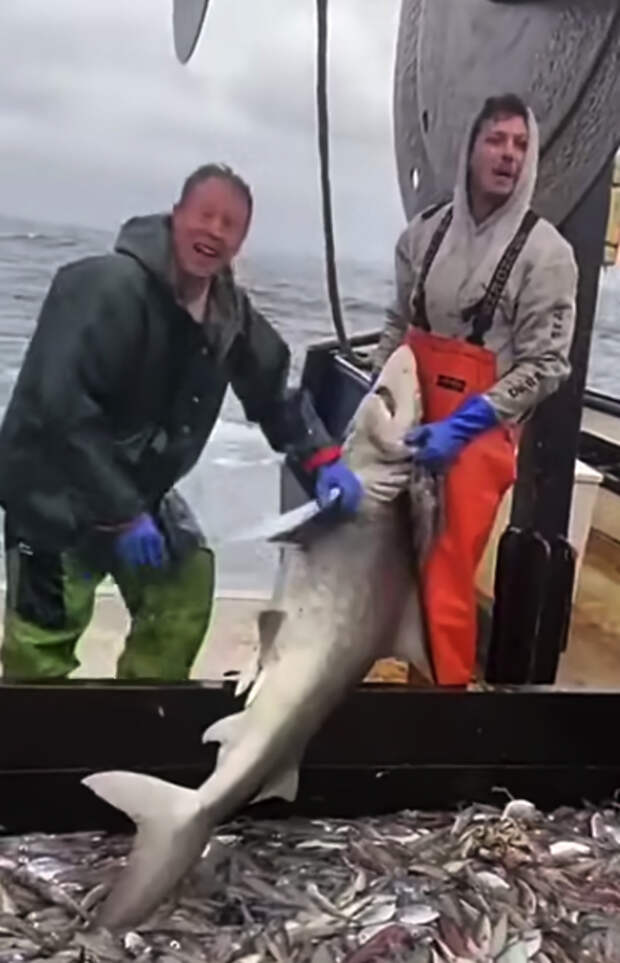 Источник фото: 9Gag