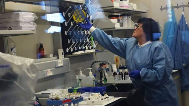 Виварий для Пентагона. Биологические полигоны Украины