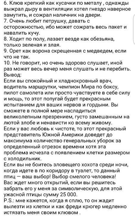 Забавное объявление о продаже попугая