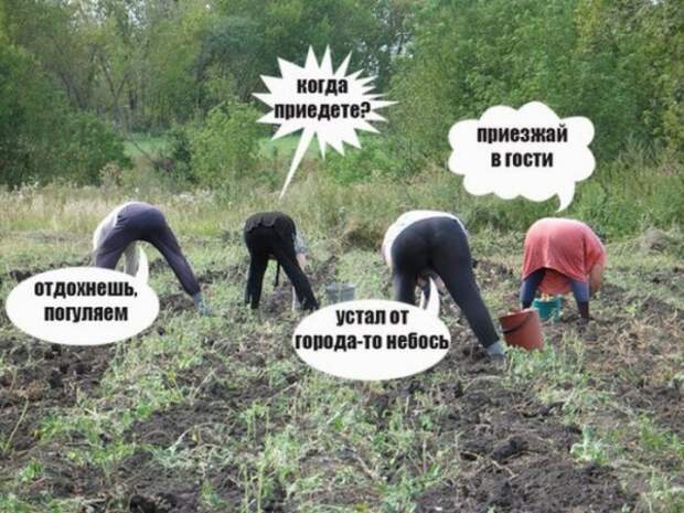 ПОДБОРКА ФОТОПРИКОЛОВ №619