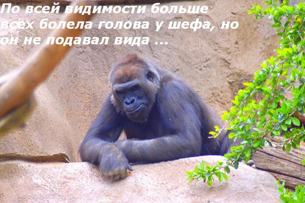 10_rabota_84 (700x467, 403Kb)