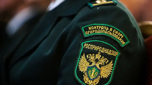 Росприроднадзору поручили проверить операторов по перевалке нефтепродуктов