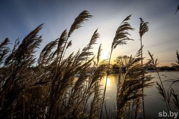 В ближайшие дни на большинстве рек страны прогнозируется рост уровней воды - Белгидромет.