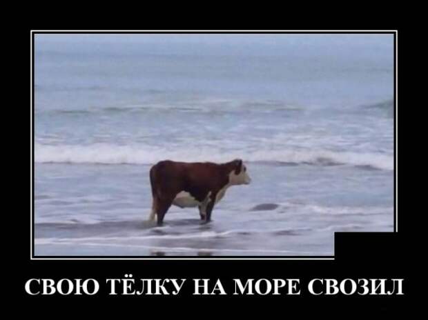 Демотиваторы