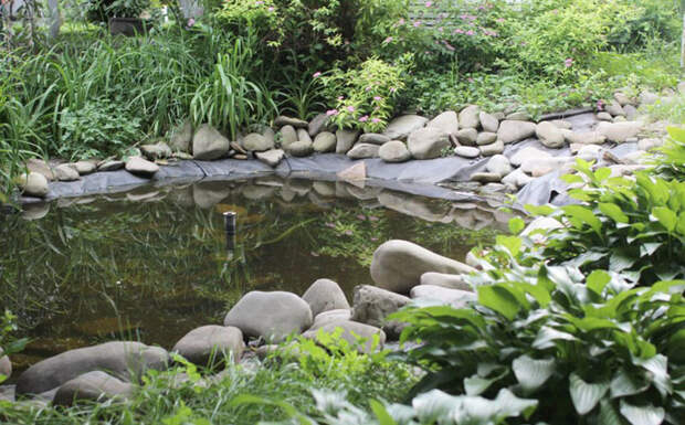 Маленький пруд в саду с фонтаном