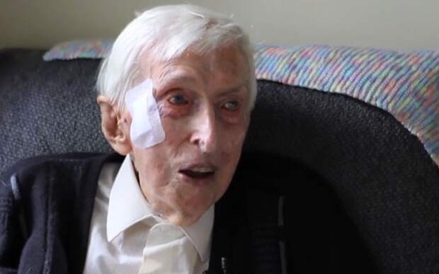 109-летний Alfred Date вяжет пингвинам одежки.