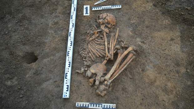 Научная сенсация. Археологи АлтГУ нашли следы первых Homo Sapiens рядом с Белокурихой
