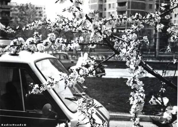 Блог - 20 подлинных фотографий о том, какой была Припять до катастрофы на Чернобыльской АЭС 20 подлинных фотографий о том, какой была Припять до катастрофы на Чернобыльской АЭС