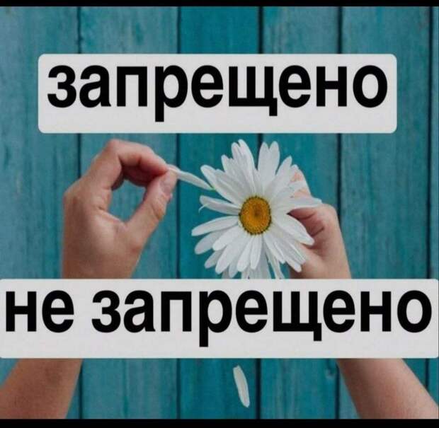 Блокировали, блокировали, да не выблокировали