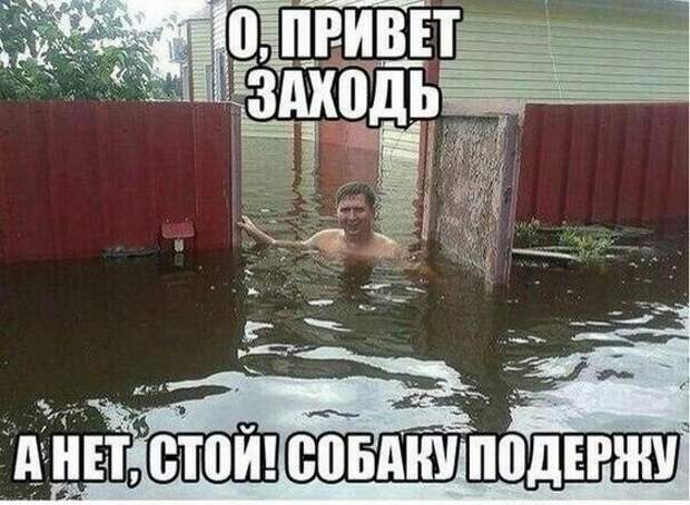 Классные свежие мемы (понедельник)