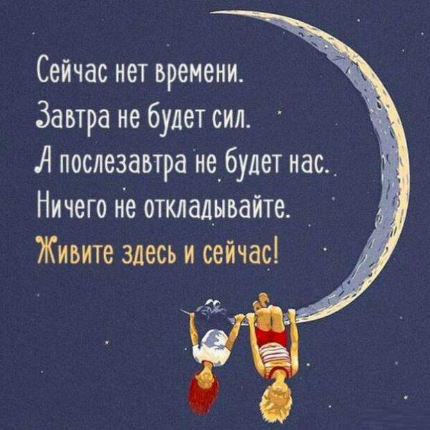 Сарказмов свежих в ленту вам Сарказмов свежих в ленту вам