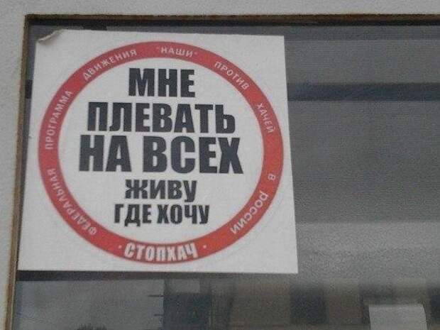 Веселые картинки про стопхам Веселые картинки про стопхам