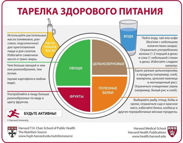 Ешь как животное: что такое интуитивное питание и чем оно может быть полезно