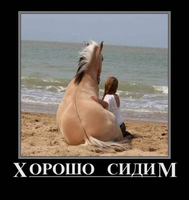 Демотиваторы на субботу (28 фото)