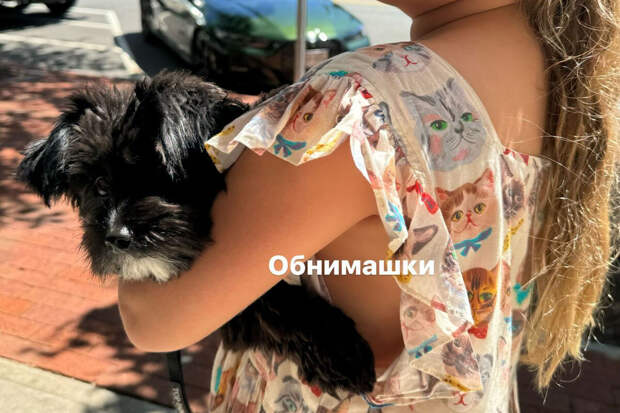 Супермодель Ирина Шейк засняла дочь Лею с собакой