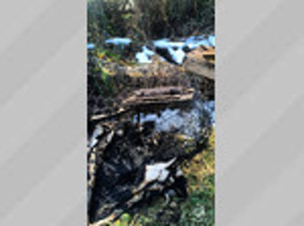 Фото: МЧС Алтайского края