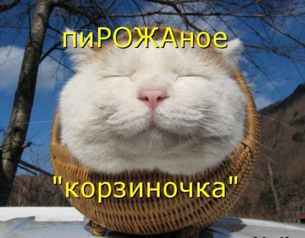 Мысли вслух :)
