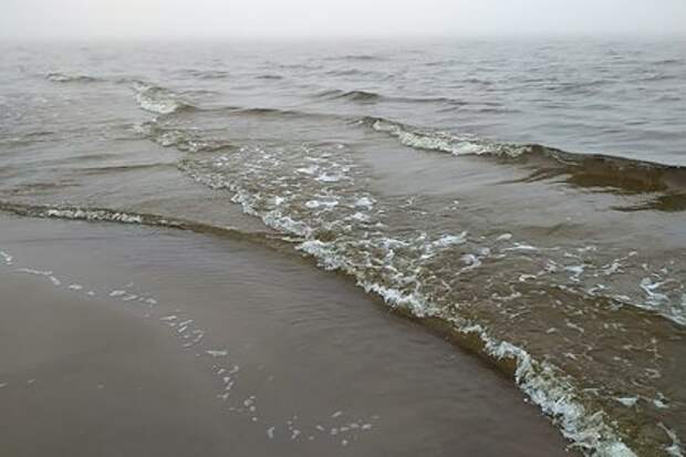 Боеголовку вынесло на берег Чёрного моря под Стамбулом