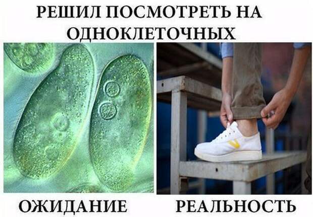 ПОДБОРКА ФОТОПРИКОЛОВ № 393
