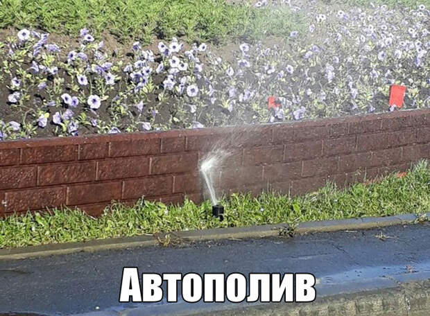 Прикольные надписи к картинкам для веселья (11 фото) Прикольные надписи к картинкам для веселья (11 фото)