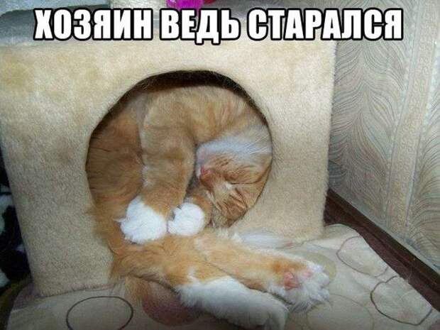 Веселые картинки Веселые картинки