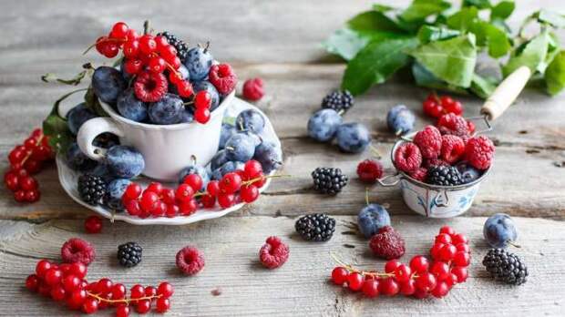 Ягоды. \ Фото: wallpapers.99px.ru. Ягоды. \ Фото: wallpapers.99px.ru.