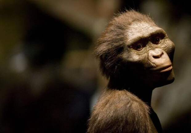 Как выглядел самый древний предок человека?