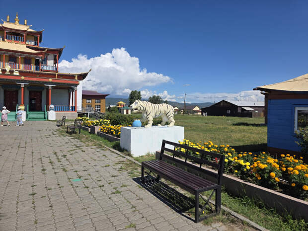 20250815_115706.jpg 20250815_115706.jpg