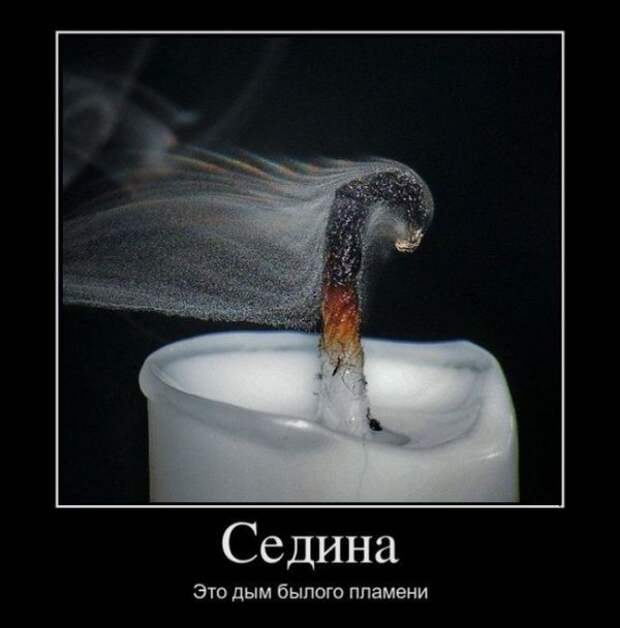Демотиваторы (30 фото)