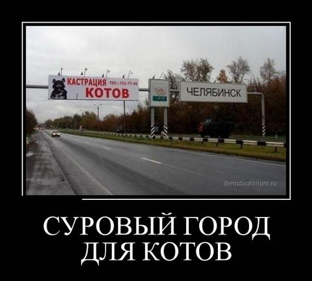 Демотиваторы демотиваторы, юмор