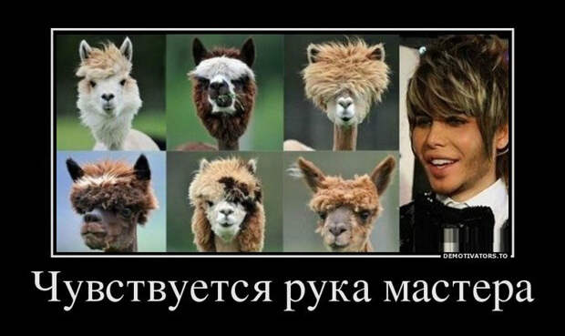 Демотиваторы и мотиваторы. Демотиваторы и веселые картинки_18-04-2013