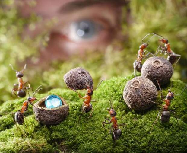 Фото: Shutterstock