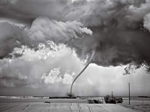 Лучшие фотографии от National Geographic за 2012 год national geographic, дикая природа, животные, лучшие фотографии, природа