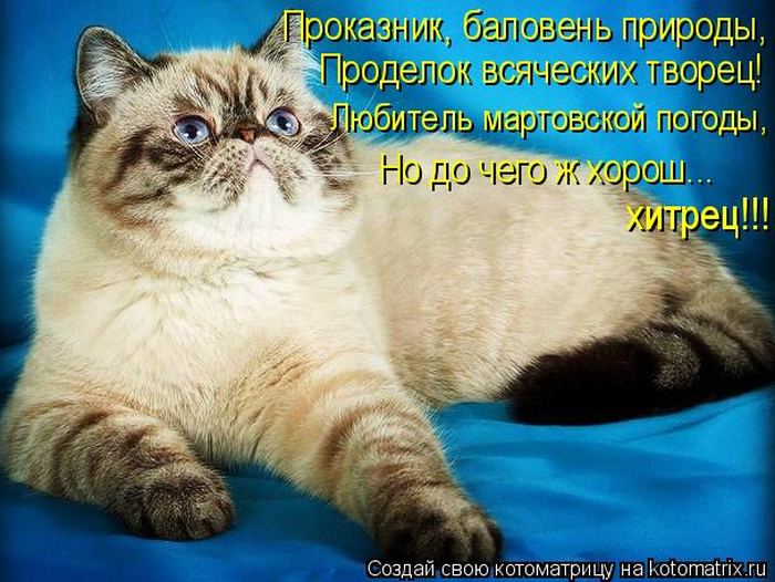 Мысли вслух :)