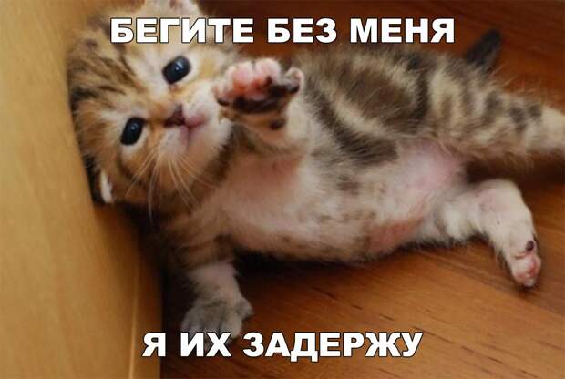 Подборка смешных и забавных картинок с надписями (10 фото)
