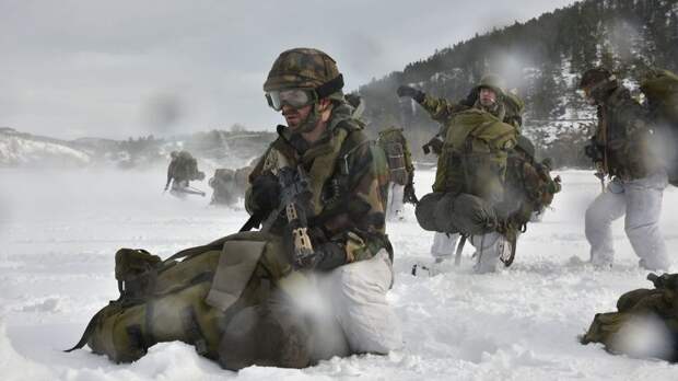 В Норвегии пристыдили солдат НАТО за неумение сдерживать естественные потребности на учениях