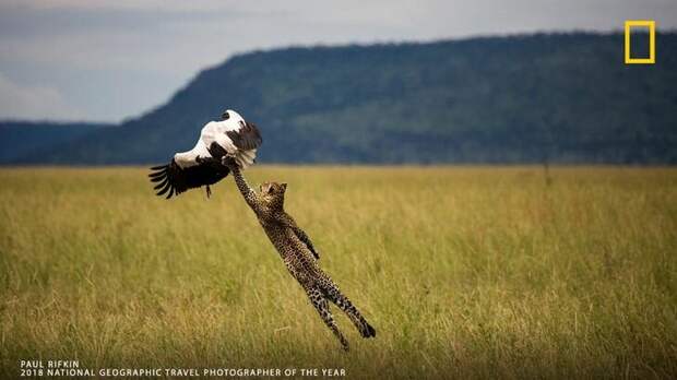Paul Rifkin / National Geographic