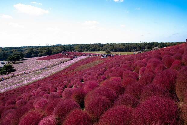 Места, которые нужно увидеть воочию SurrealPlaces16 Места, которые нужно увидеть воочию