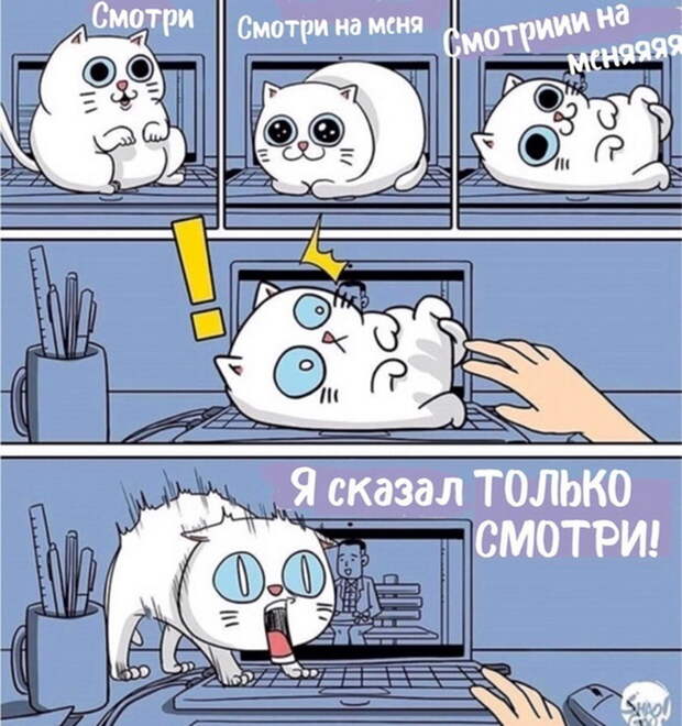 pixmafia.com прикольные и интересные фото на pixmafia.com