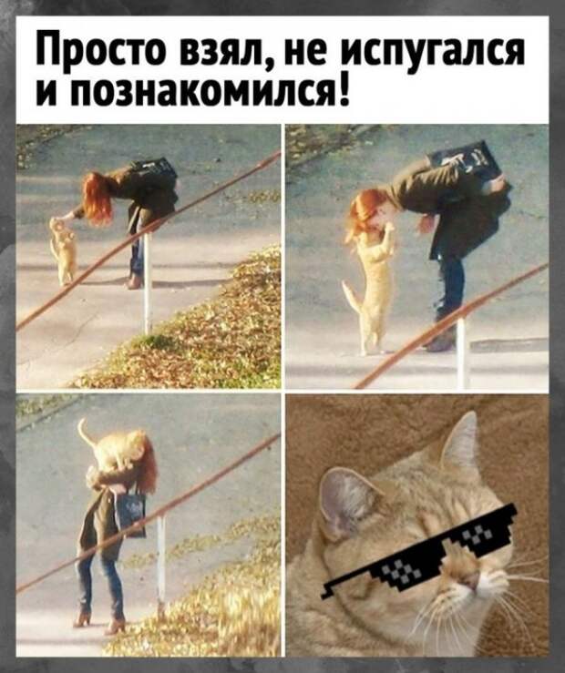 Так себе картинки